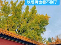 -故宫博物院(故宫)