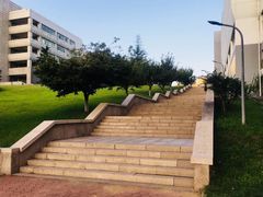 -青岛大学(金家岭校区)