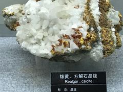 -甘肃地质博物馆