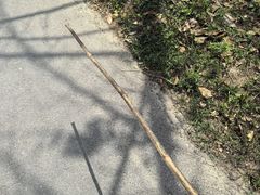 -艾山风景名胜区