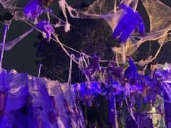 -南湖梦幻岛