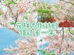 -白石龙音乐公园