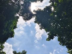 -晓港公园