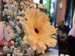 -IL Forno 意坊·意大利餐厅(花园店)