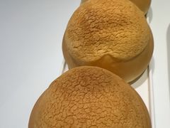 -有心德(麦地店)