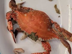 -天天鱼港·海鲜·鲅鱼水饺·招牌烤鸭(黄骅店)