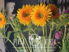 -FEI FEI FLOWER鲜花店·气球派对·宝宝宴布置(虹口德必运动Loft店)