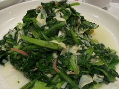 鸡毛菜百叶丝-老吉士酒家(天平路店)