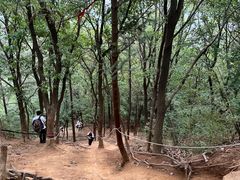 -灵岩山风景区