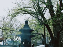 -八大处公园