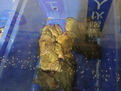 -玉园烧烤·海鲜辣炒