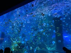-波塞冬海底世界