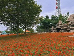 -羊亭河湿地公园