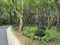 -东湖落雁景区