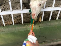 -荆州中山公园动物园