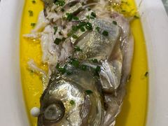 鸡汁白鱼-佰家小厨·南京菜(夫子庙店)