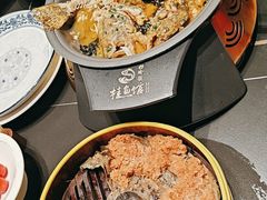 -好瑜筷桂鱼专门店(植物园店)