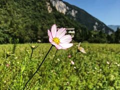 -鹿院坪生态旅游景区