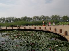 -绿堤公园