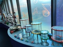 -中国宋庆龄青少年科技文化交流中心