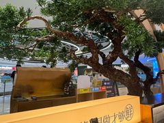 -大榕树下顺德菜(融创茂店)