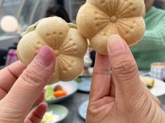 -Hi City·城市之巅