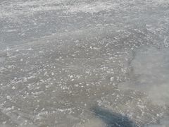 -绿野森林乐园冰雪季