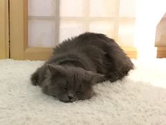 -小时光咖啡馆(开森度假森林店)