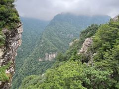 -牛背梁国家森林公园