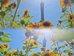 -海心沙亚运公园