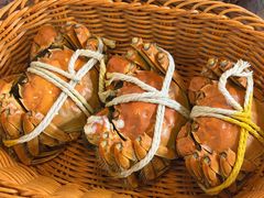 -蟹村草堂·苏式园林人文农家·大闸蟹