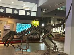 -自贡恐龙博物馆