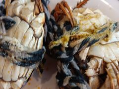 -杨氏青龙虾·羊蝎子(珠江路店)