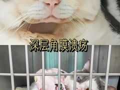 -贝利宠物医院·骨科·眼科·肿瘤转诊中心(南坪诊疗中心)