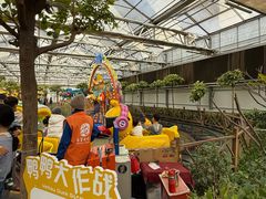 -南宫五洲植物乐园