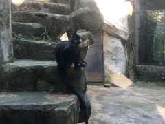 -南昌动物园