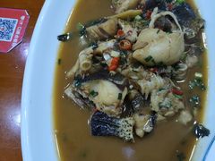-全乐鱼馆·淳牌有机鱼直营店