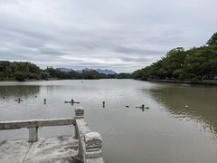 -江心屿景区