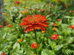 -乌石塘景区