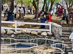 -长白岛森林公园