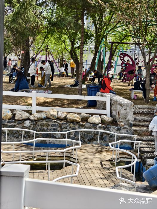 长白岛森林公园图片