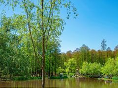 -上海共青森林公园