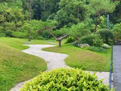 -云溪植物园