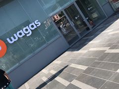 -Wagas沃歌斯(五道口购物中心店)