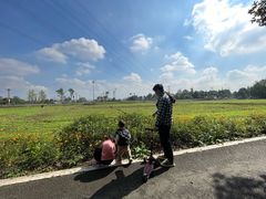 -桤木河湿地公园