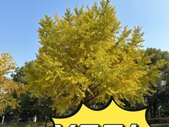 -苏州河梦清园环保主题公园