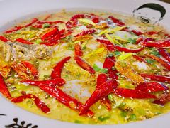 老坛酸菜鲈鱼-江渔儿酸菜鱼(东厦一百店)