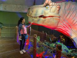 点击看大图 -恐龙探索乐园(磁器口店)