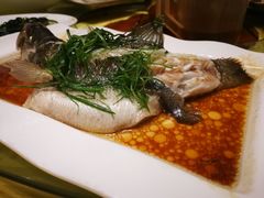 -盛记顺德高佬猪杂粥