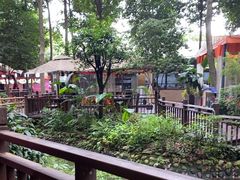 -二荆条·蜀鲜汇城市森林火锅